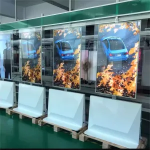 OLED Transparent Screen - standing